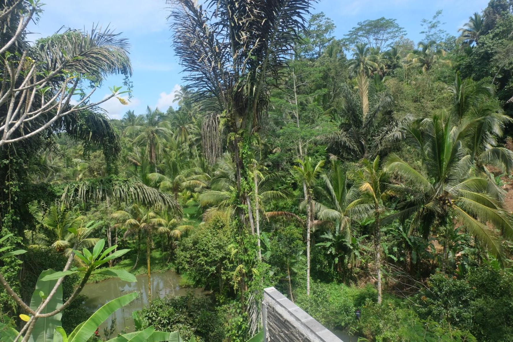 Gunung Kawi House Villa Tegallalang  Exterior photo